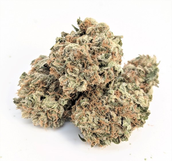 Black Diamond ca gcm res