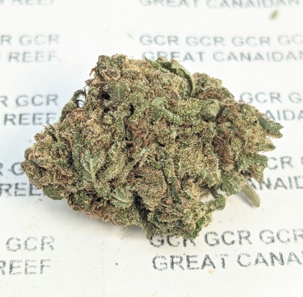 Kandy Kush GH o15s