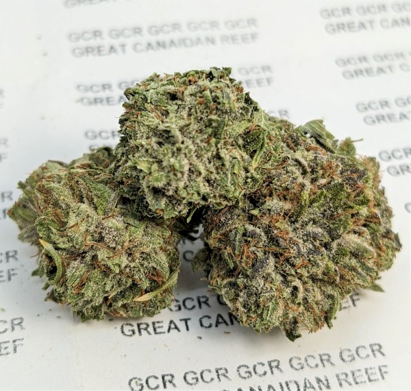 grape ape aaaa may 15 2