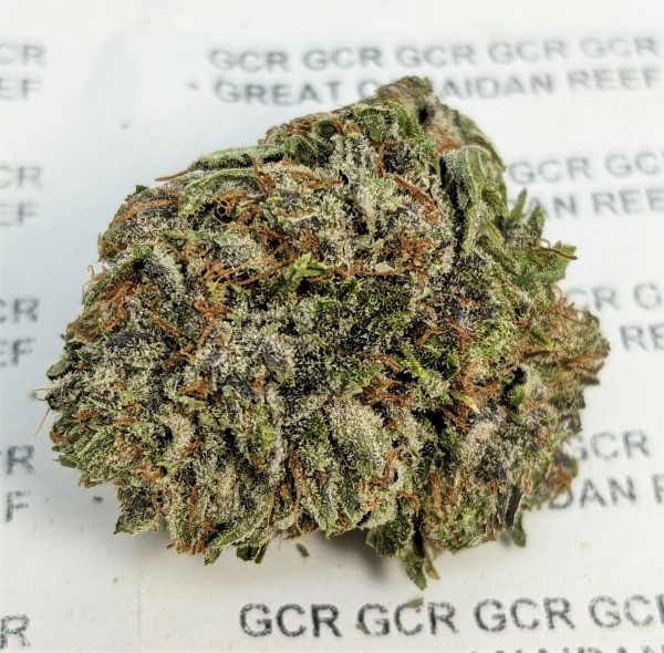 grape ape aaaa may 15