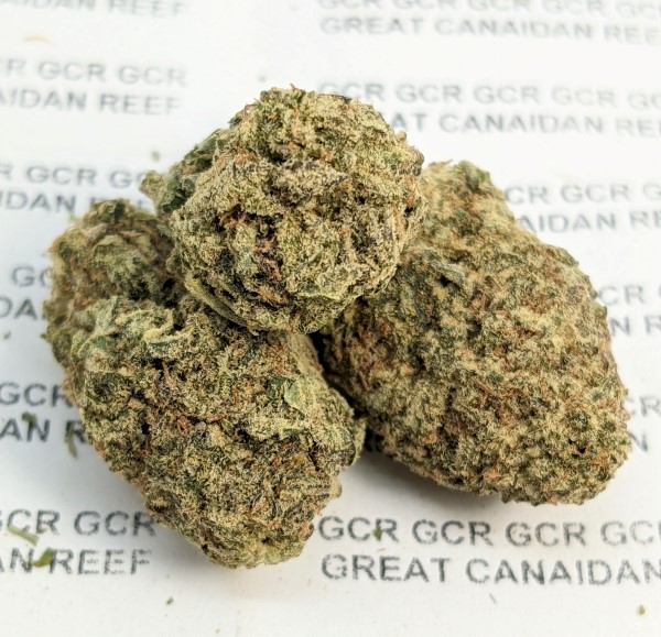 Blue Dream j2521 b
