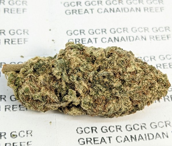 Blue Dream j2521