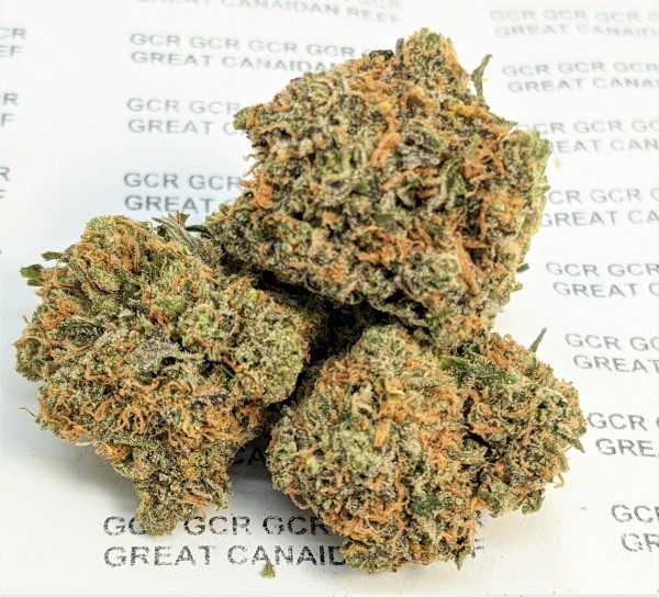 grease monkey aaaa j2521 b