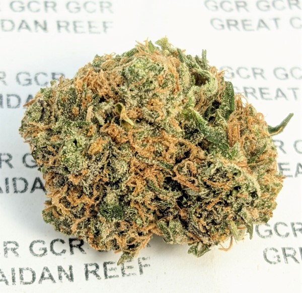grease monkey aaaa j2521