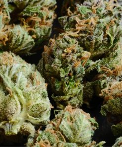 Buds